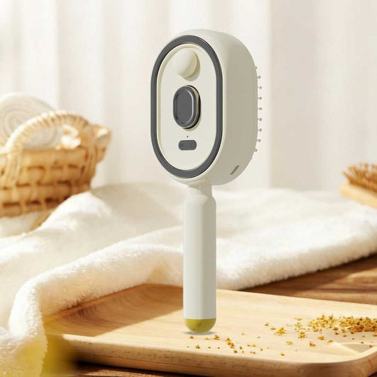 Steam Brush – Rechargeable Detangling Hair Brush with Oil